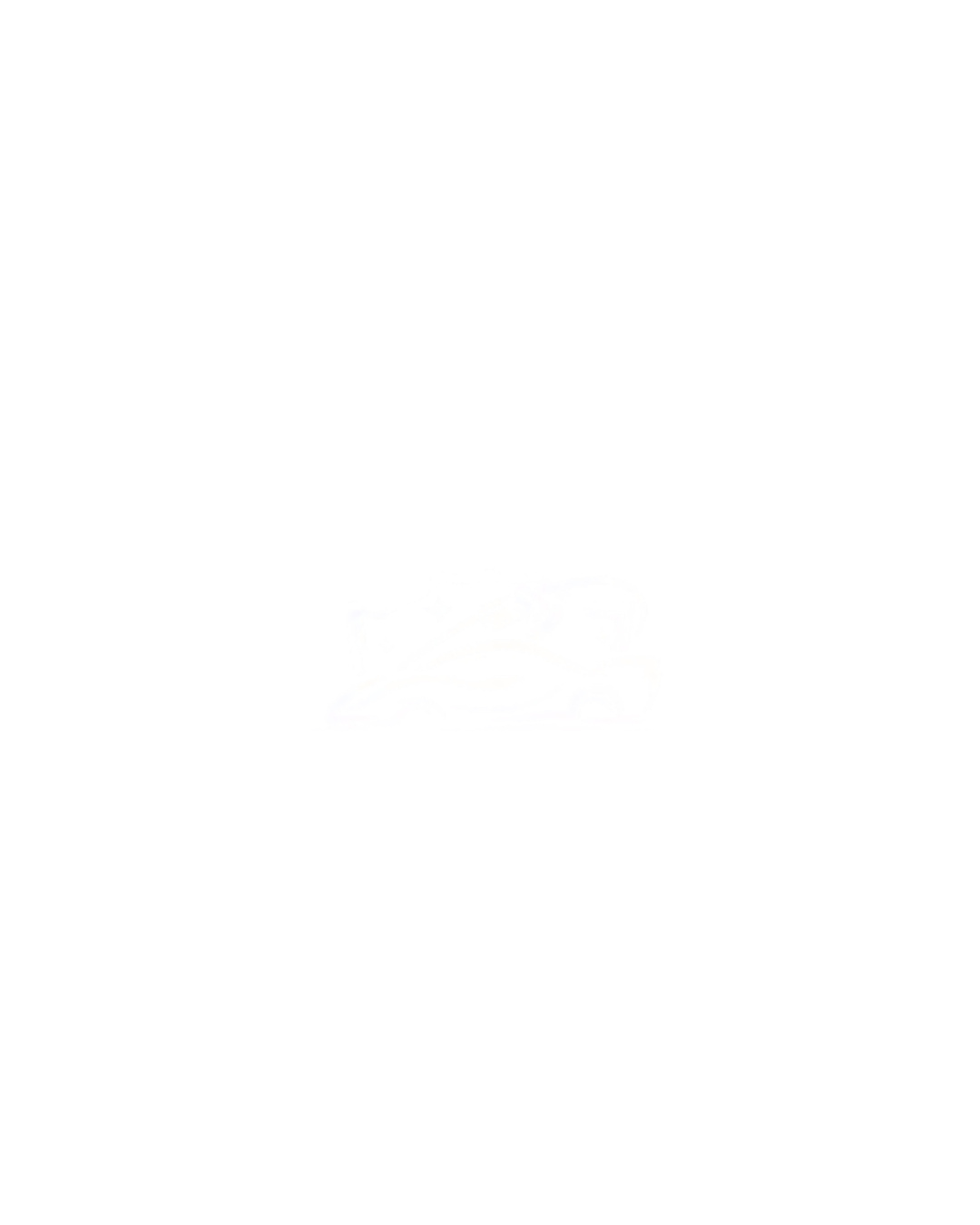 On The Spot Mobile Detailing
